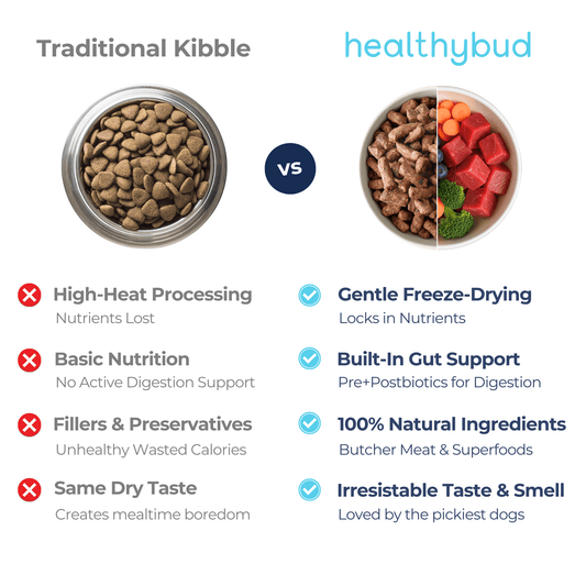 Lamb Treats for Dogs