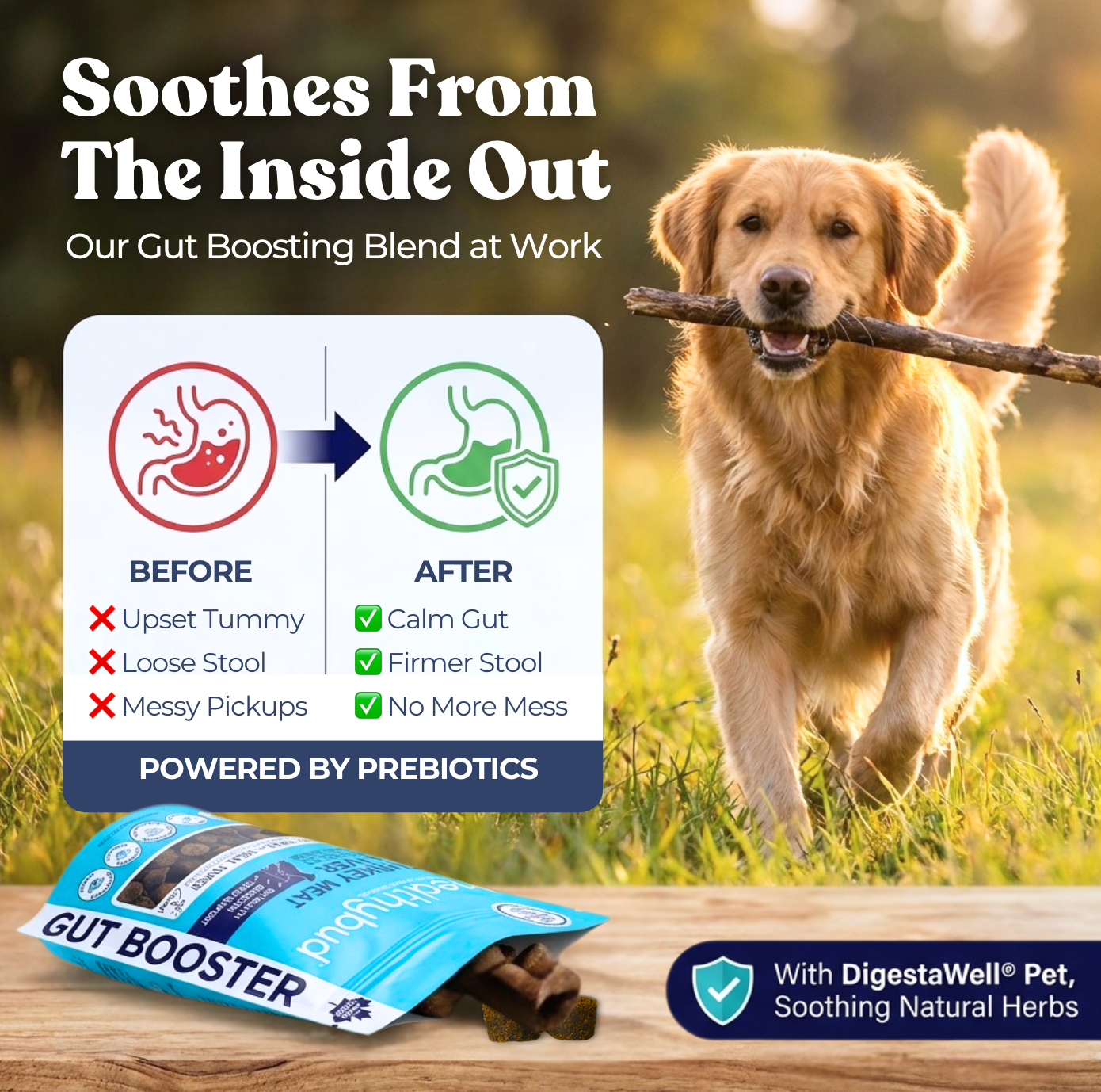 Turkey food for dogs