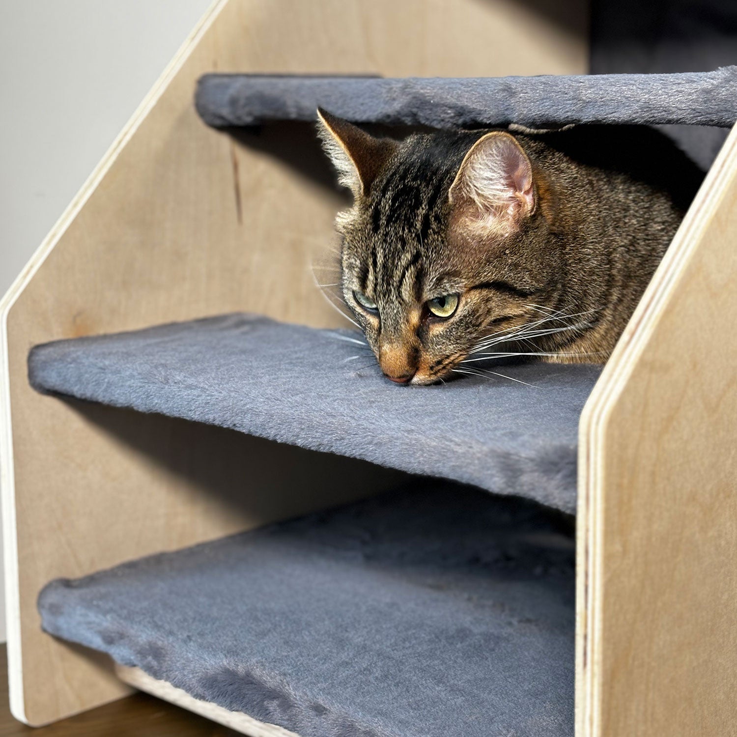 Elevate Your Pet’s Comfort with Our Stairs Hideout