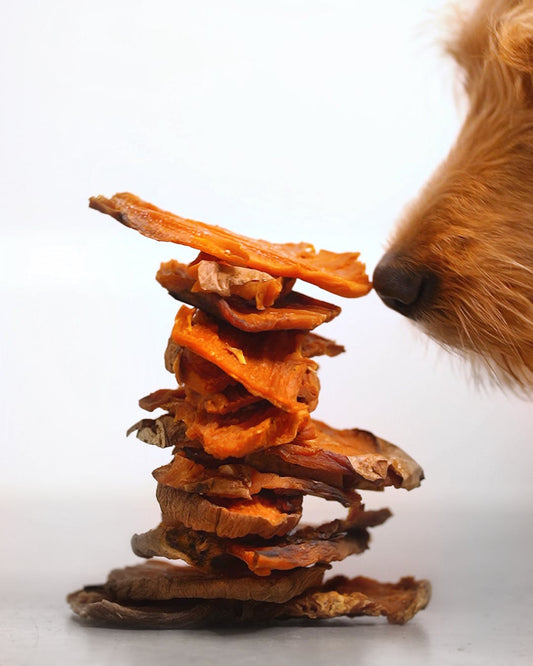 Sweet potato treats dog 