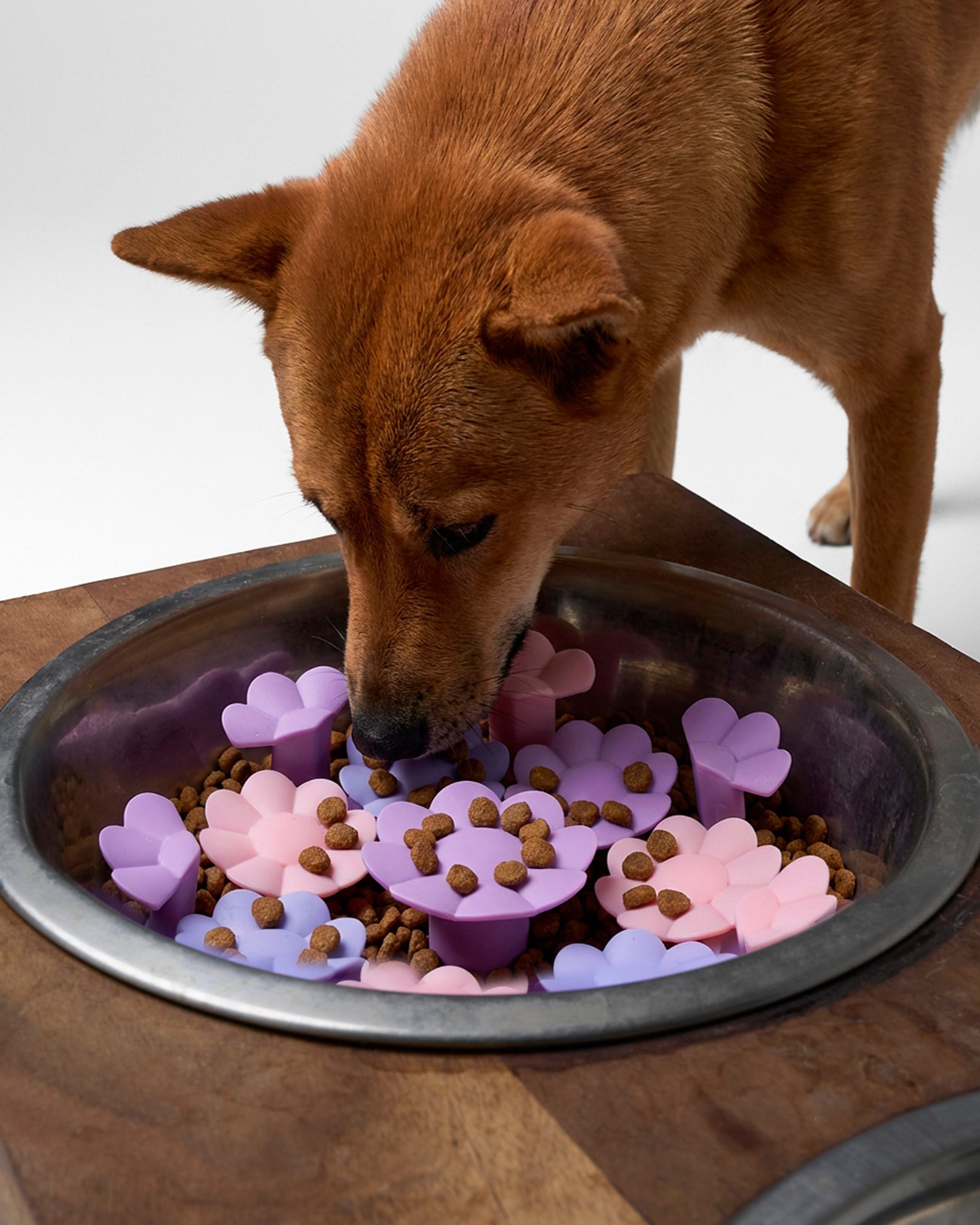 Slow Feeder Insert | Tag4MyPet