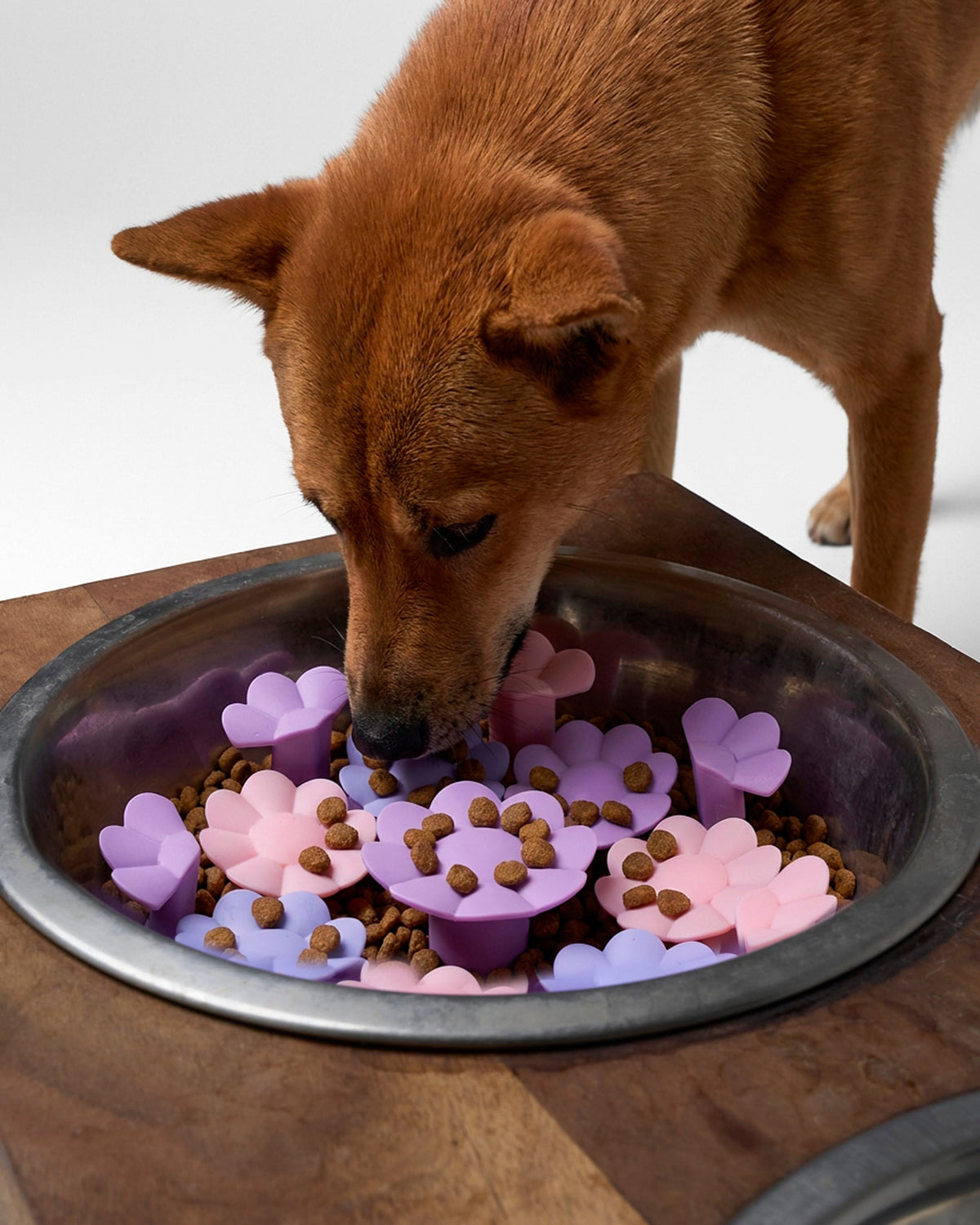 Slow feeder insert | Tag4MyPet