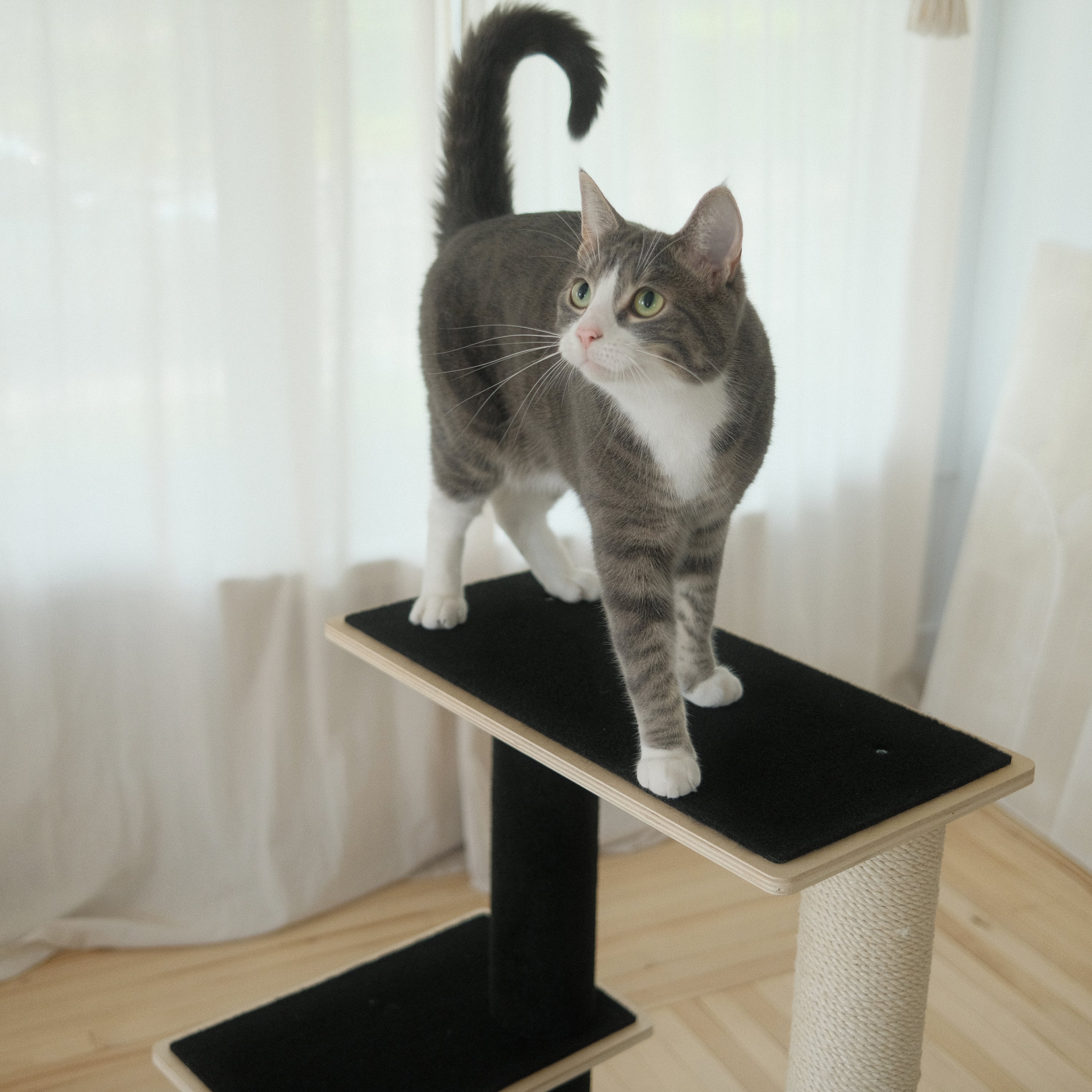 Cat Tree and Tower | Tag4MyPet | Ships to USA and Canada
