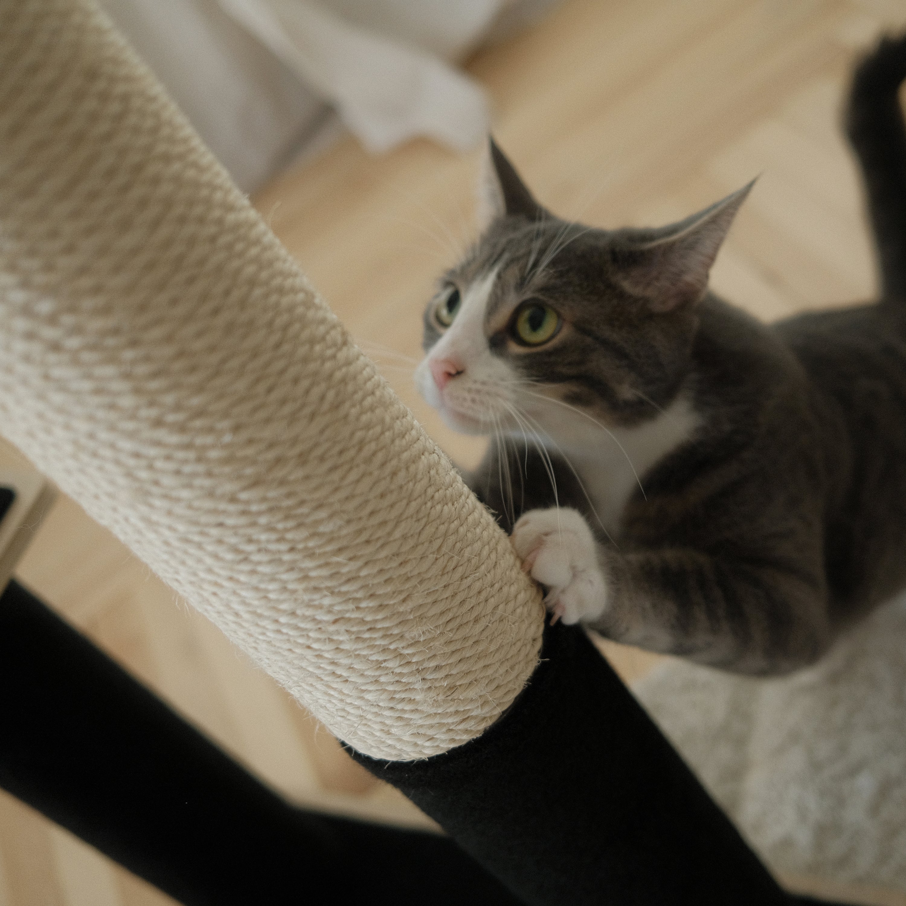 Cat Tree and Tower | Tag4MyPet | Ships to USA and Canada