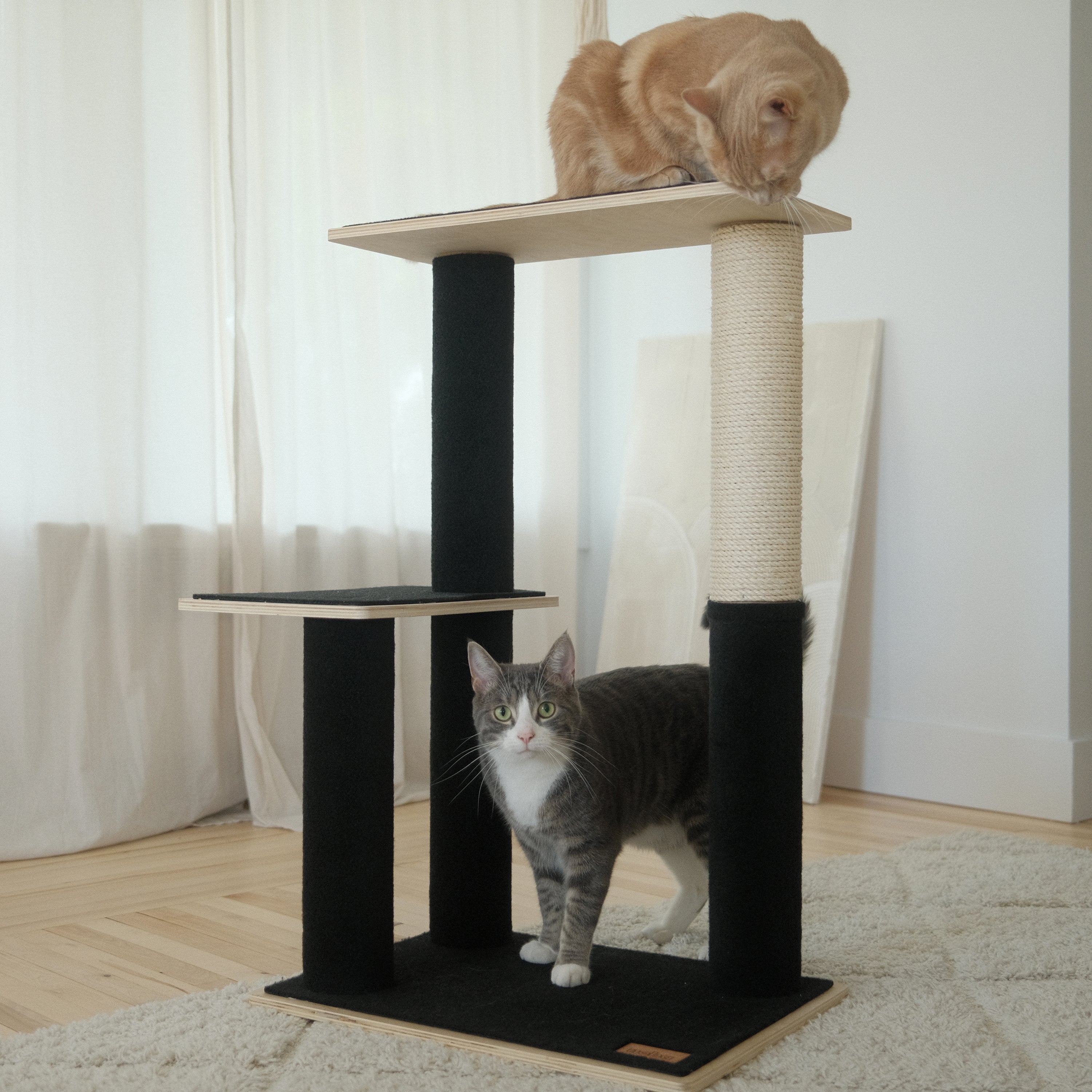 Cat Tree and Tower | Tag4MyPet | Ships to USA and Canada