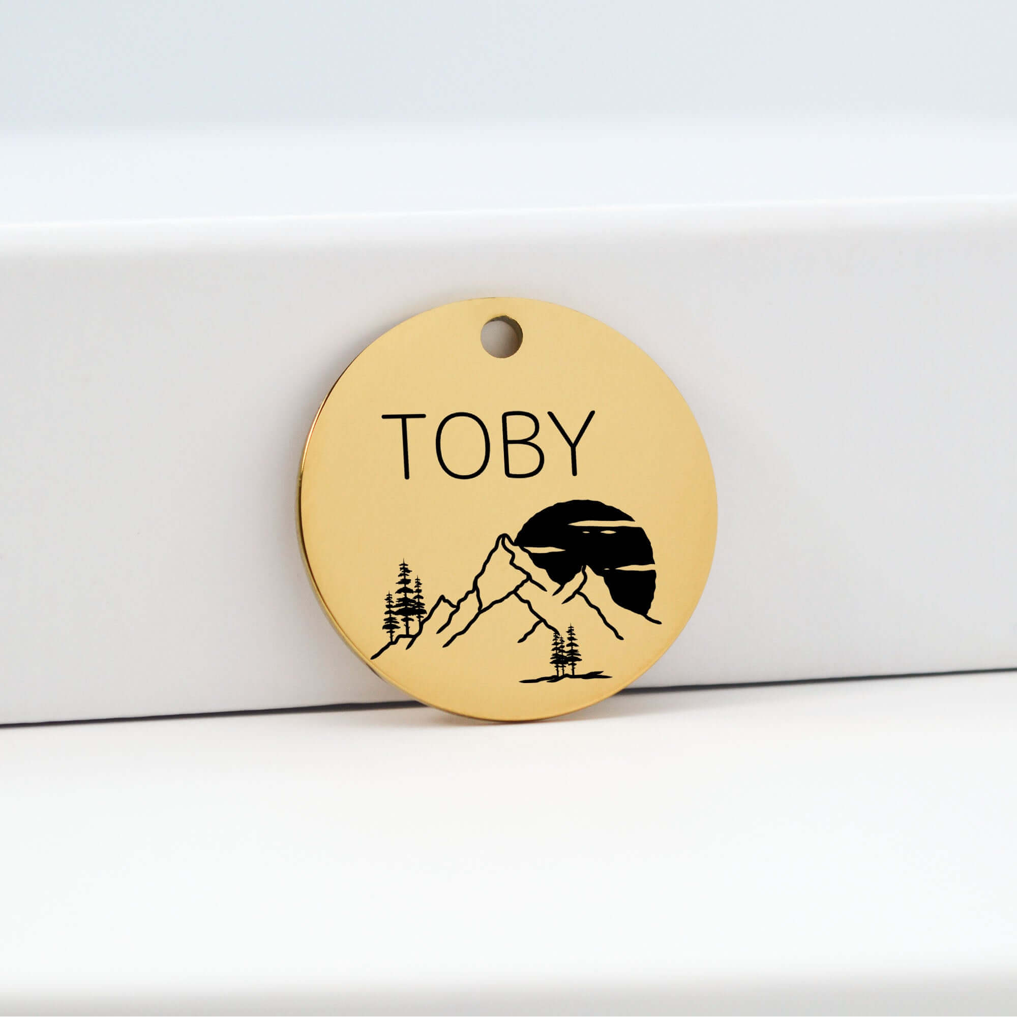 Dog Identification Tags in Gold | Tag4MyPet