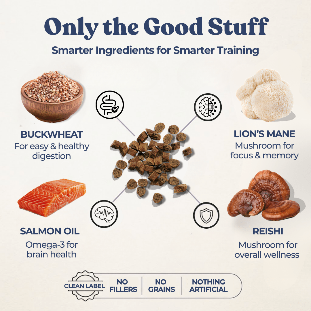 Training Treats for Dogs