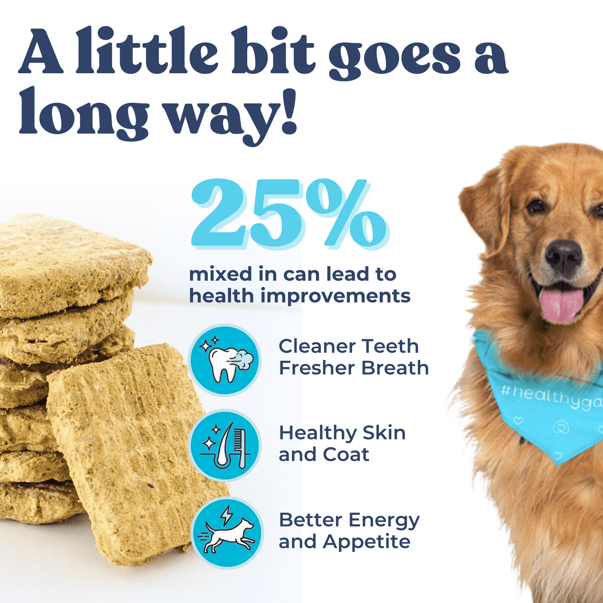 Turkey Dog Food