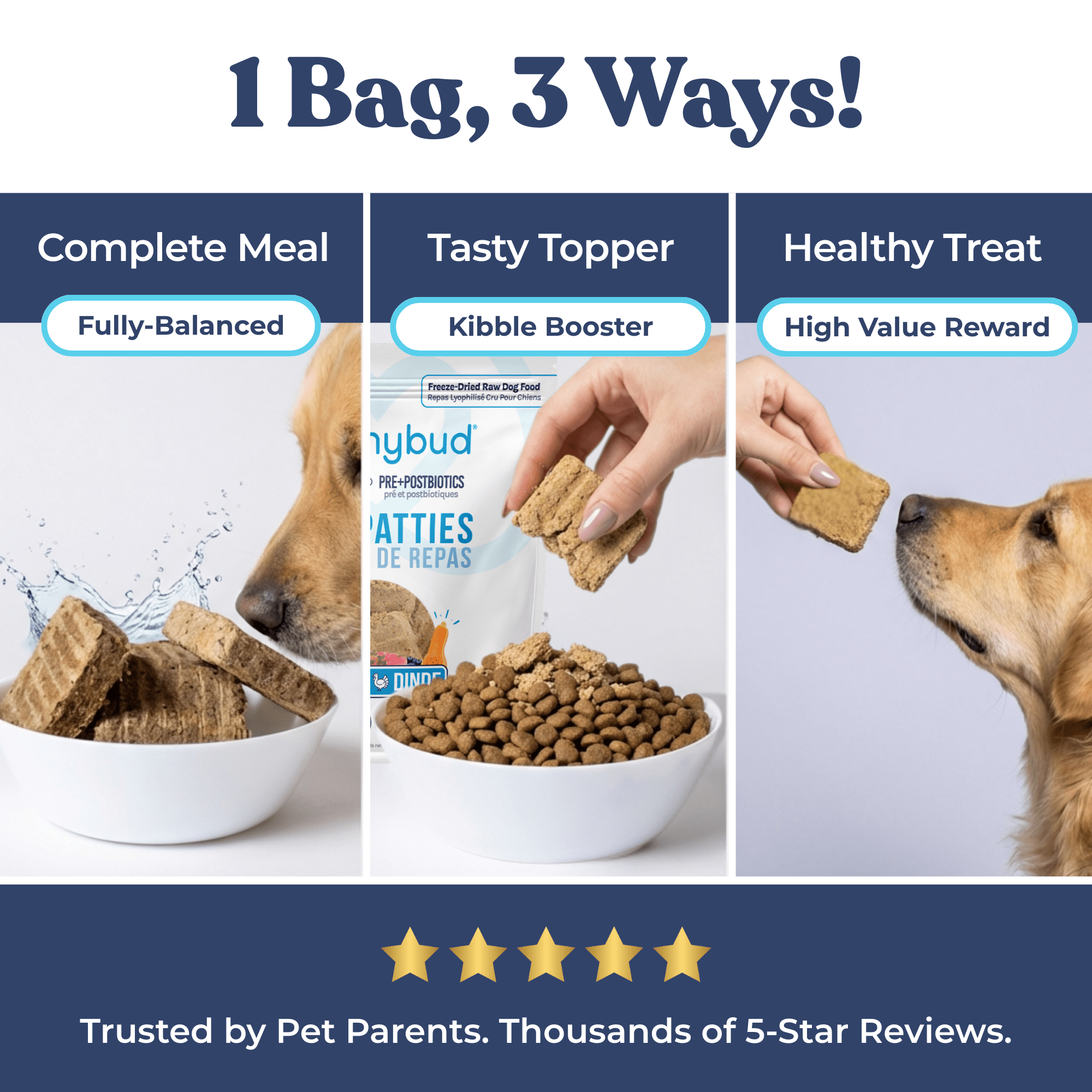Turkey Dog Food