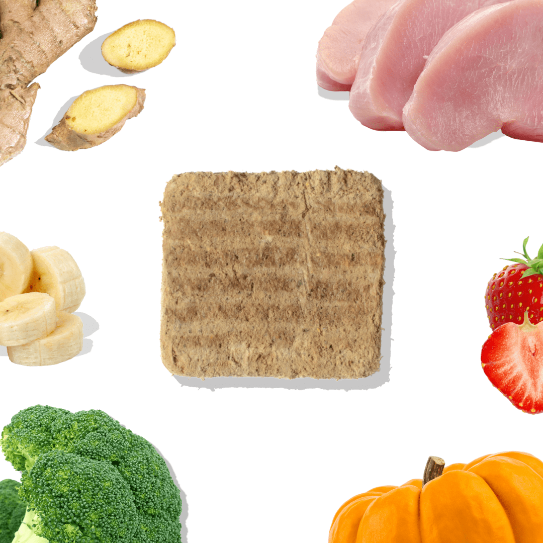 Turkey Dog Food