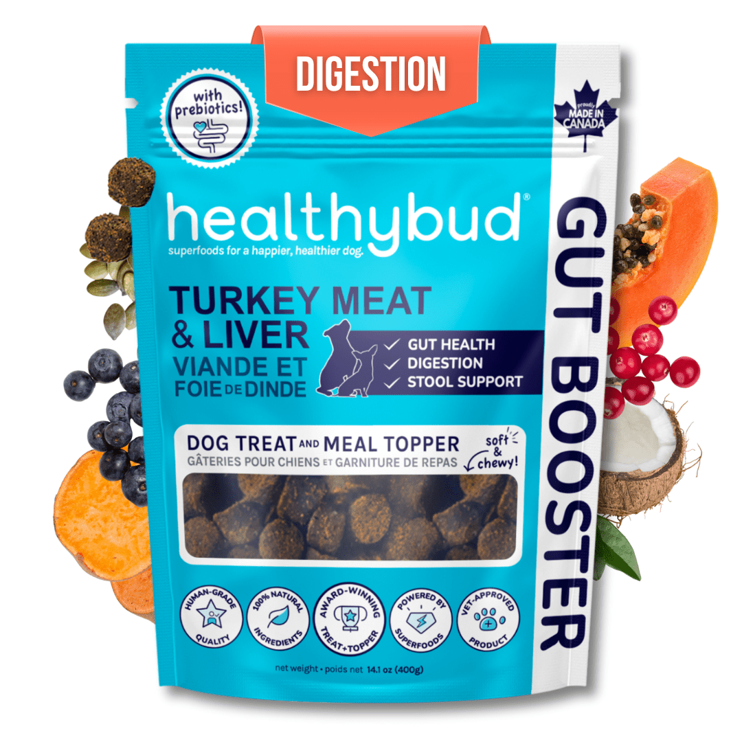 Turkey Food for Dogs