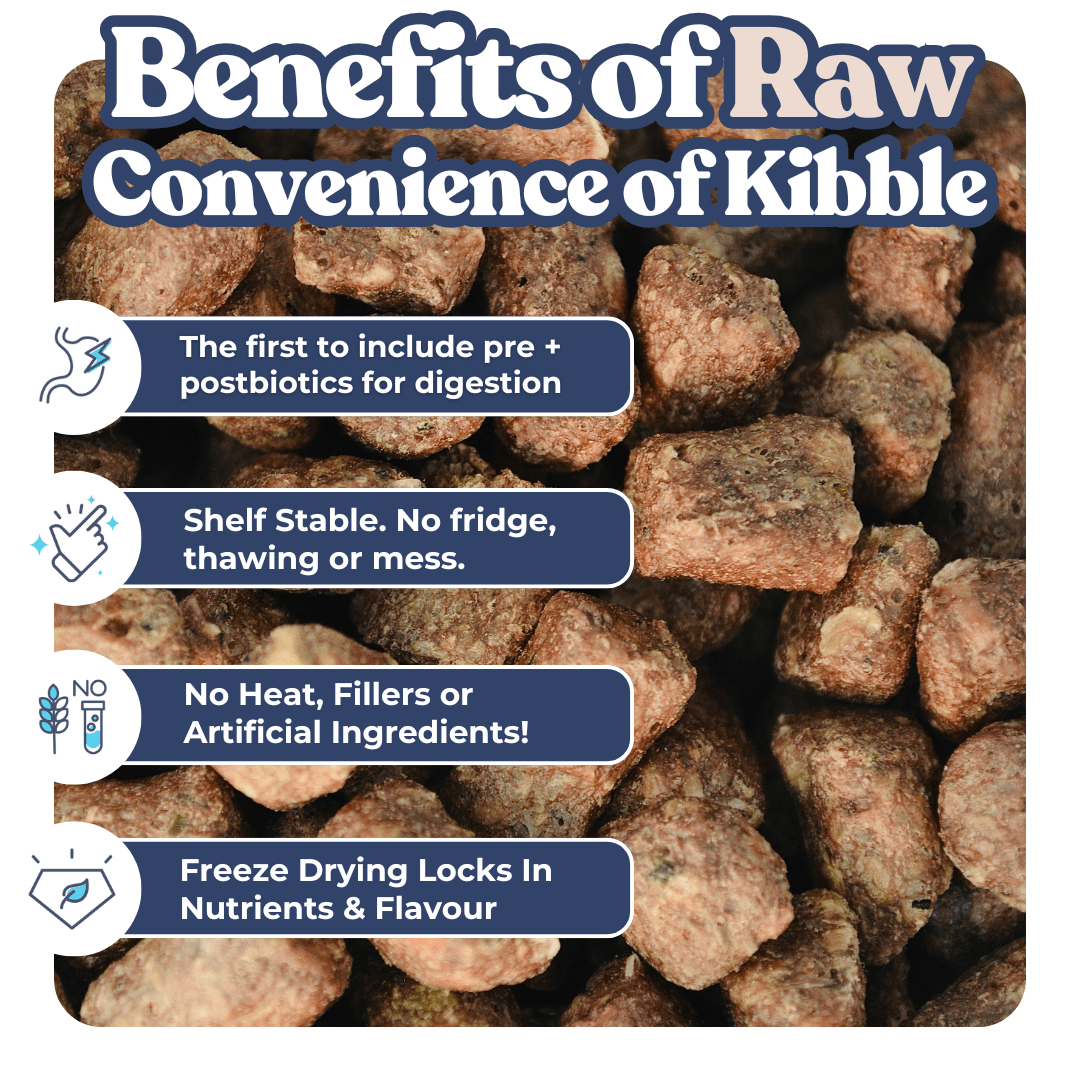 Turkey dog treats benefits