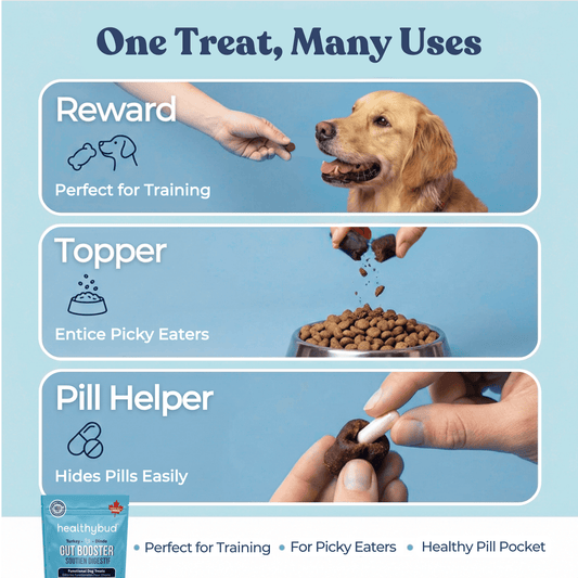 Turkey food for dogs