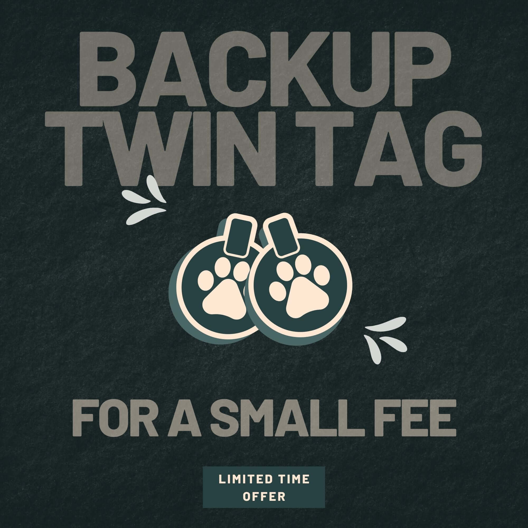 Backup Twin Tag: for a small fee, limited time offer!
