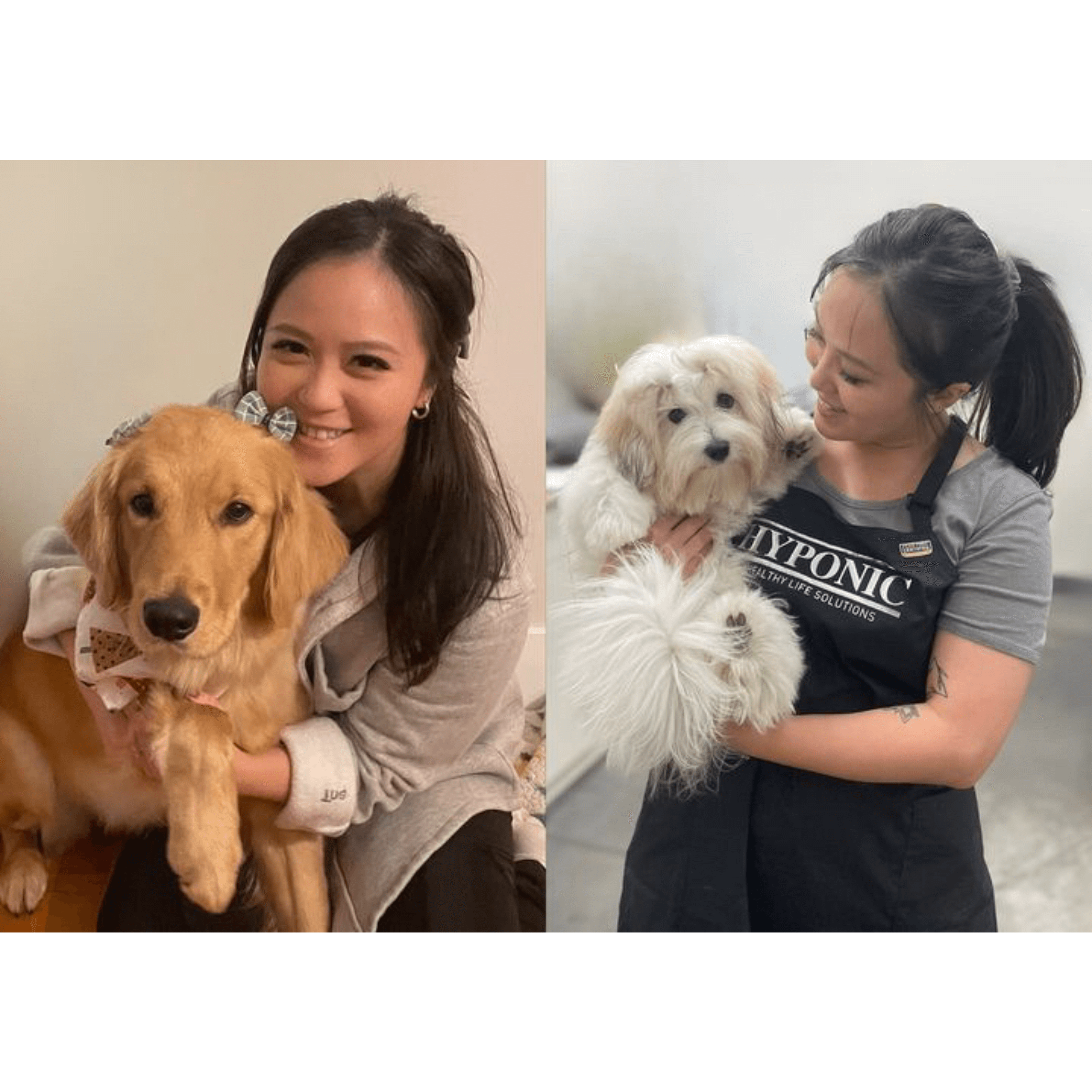 Happy pet parents with groomed puppies