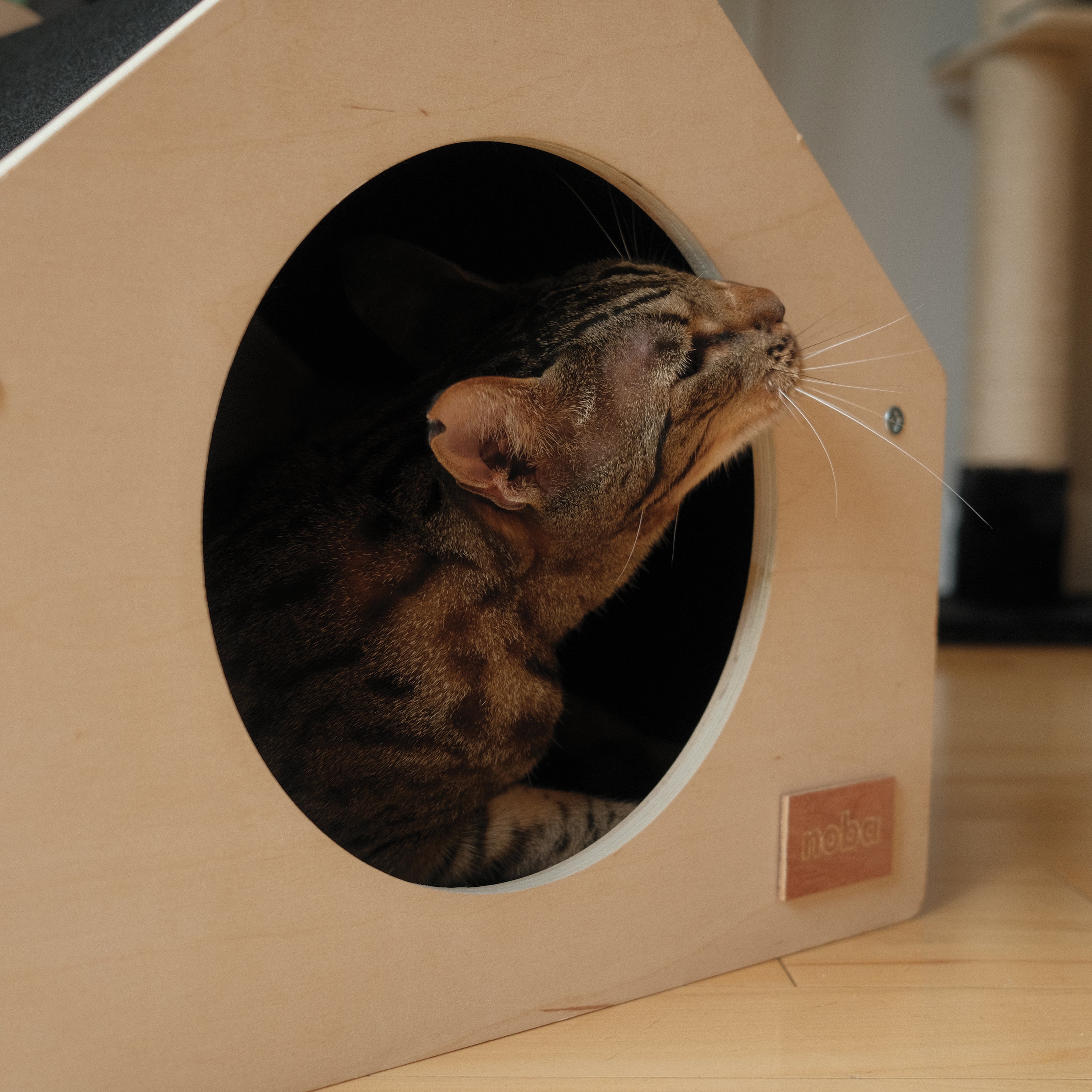 Urban Condo Pet House – Modern & Cozy Cat Condo
