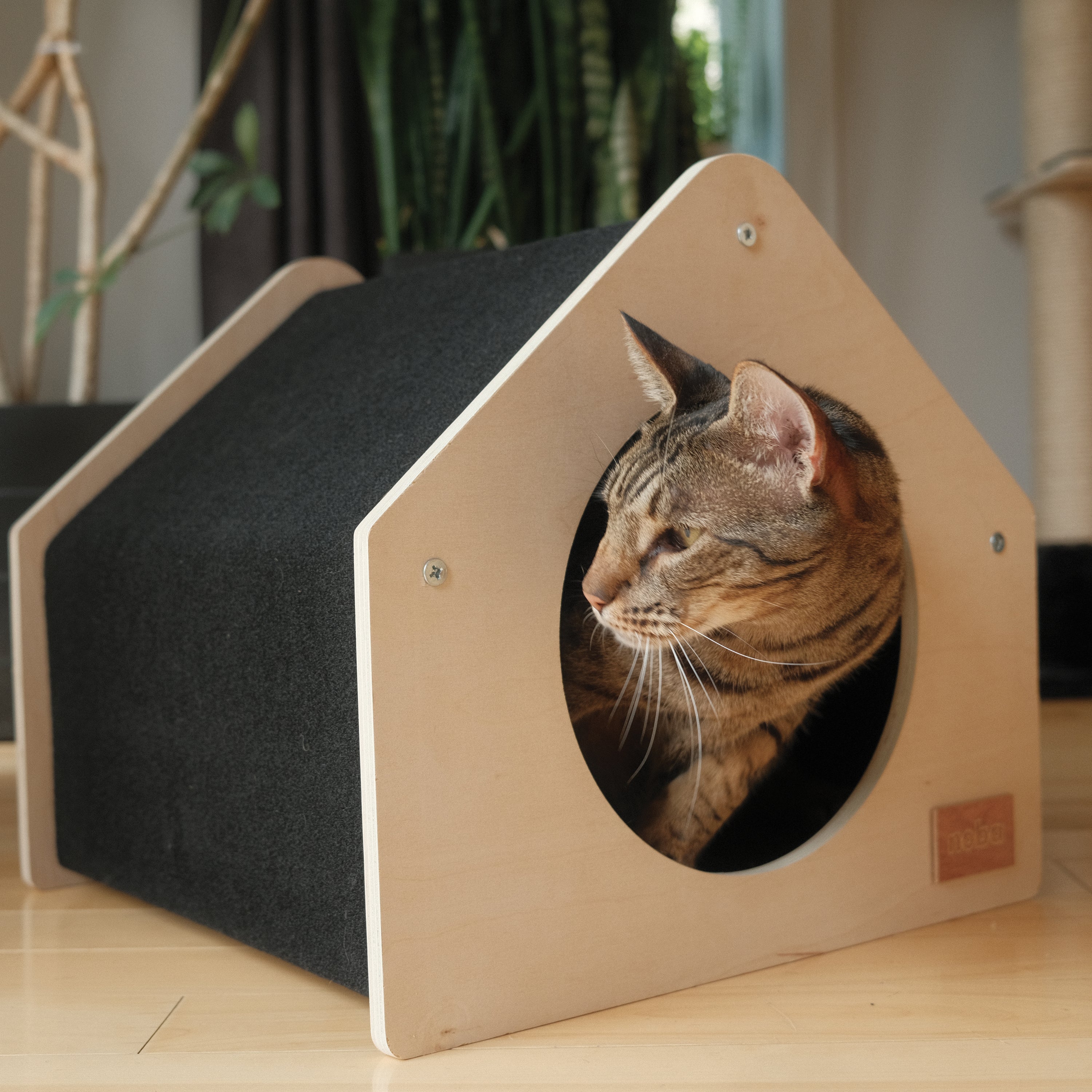 Urban Condo Pet House – Modern & Cozy Cat Condo