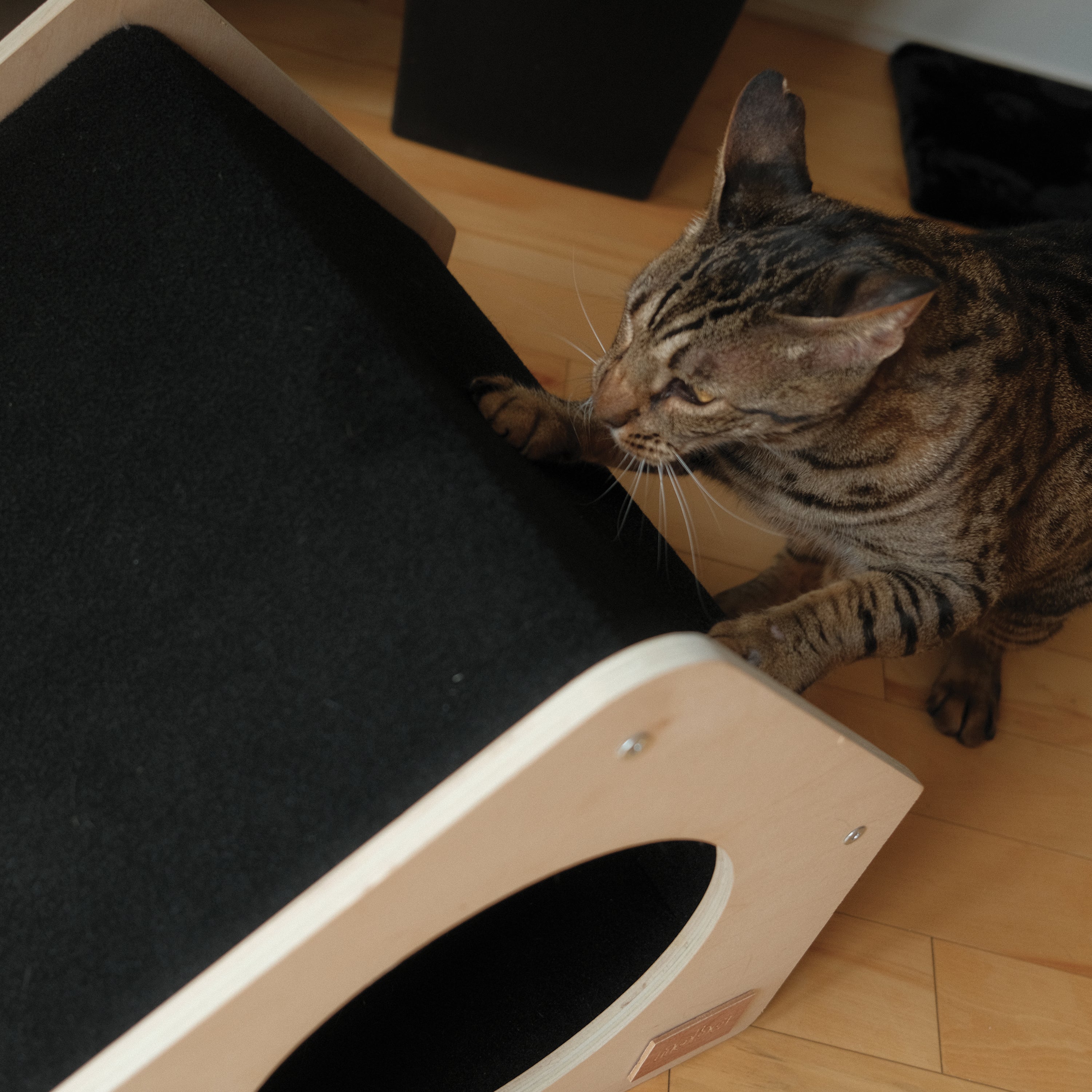 Urban Condo Pet House – Modern & Cozy Cat Condo