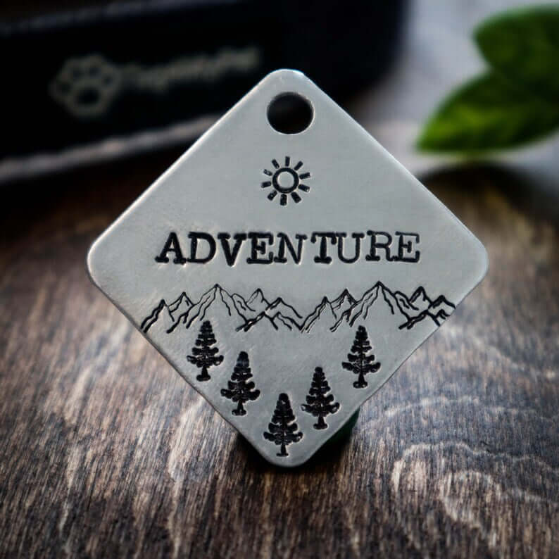 Adventure Tag Square Image