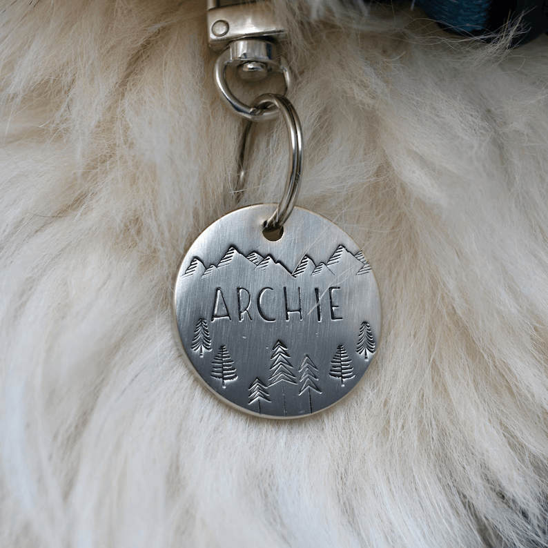 archie tag mountains