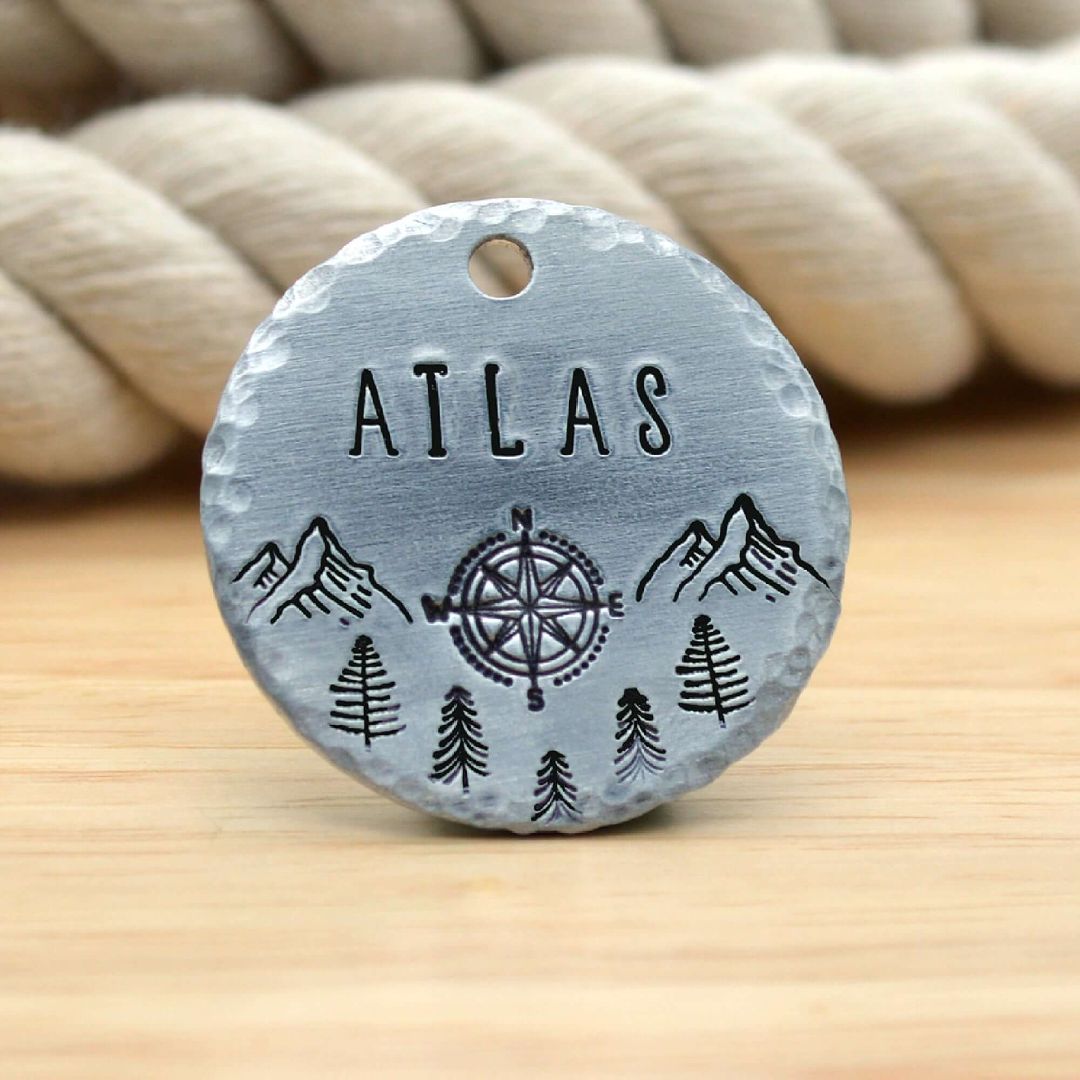 ATLAS TAG SILVER CIRCLE | Tag4MyPet