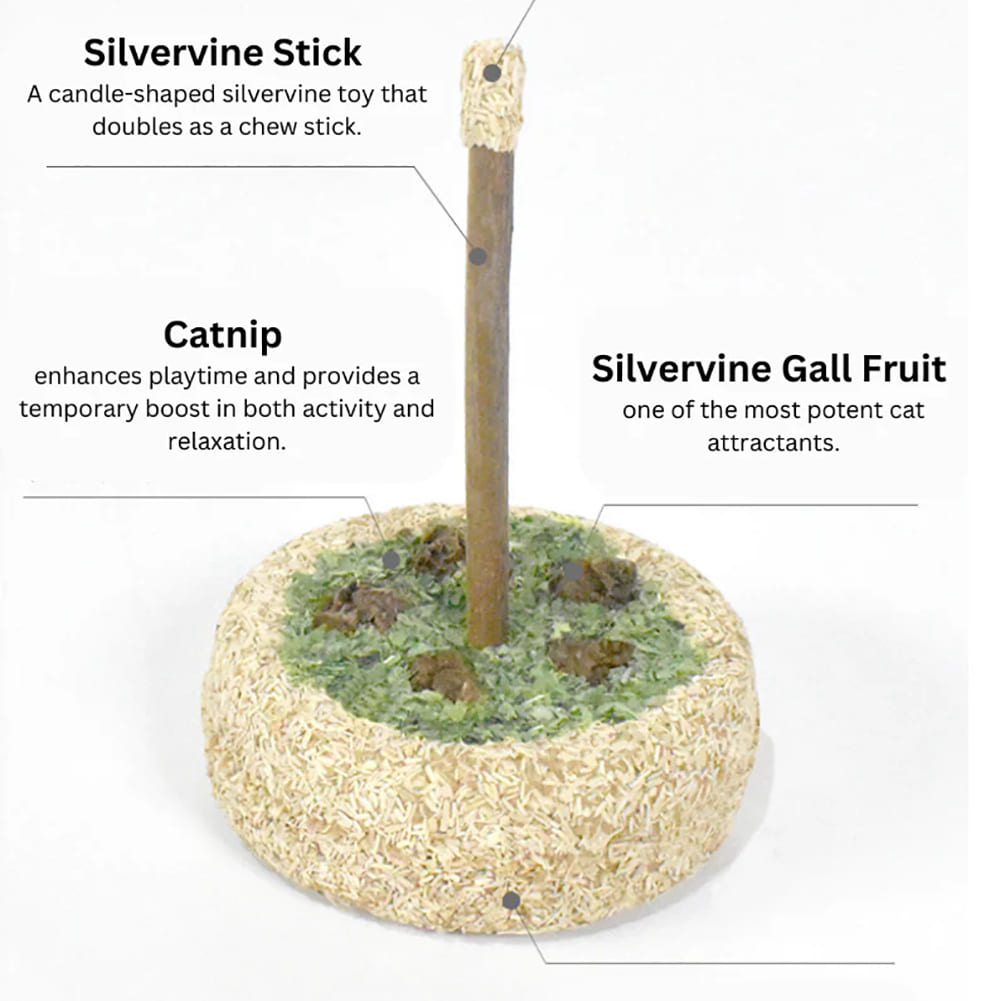 Silvervine - Birthday Cake toy for cats