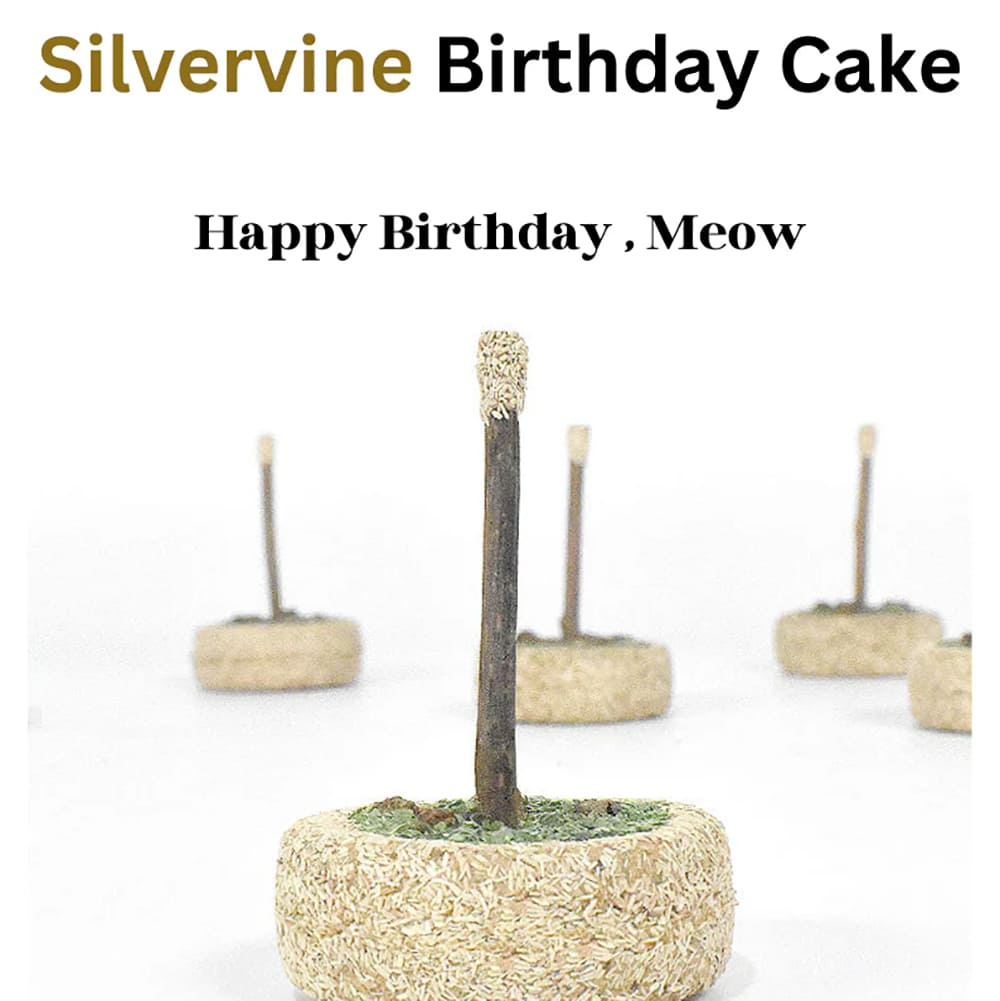 Silvervine - Birthday Cake toy for cats