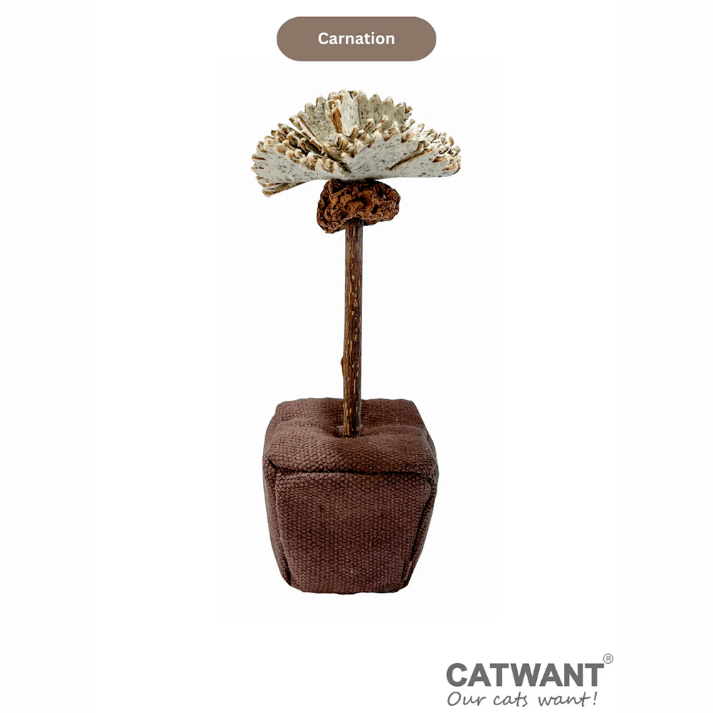 Catnip Paper Flower