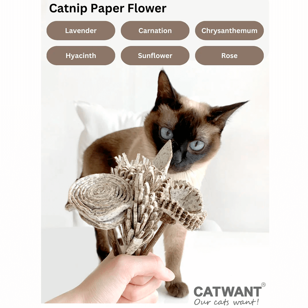 Catnip Paper Flower