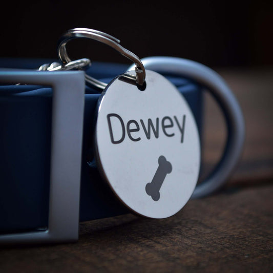 Tag Collar Leash Dog Set