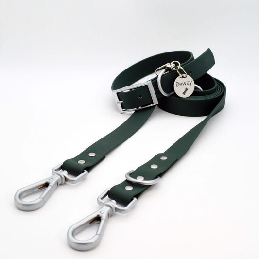 Tag Collar Leash Dog Set Green