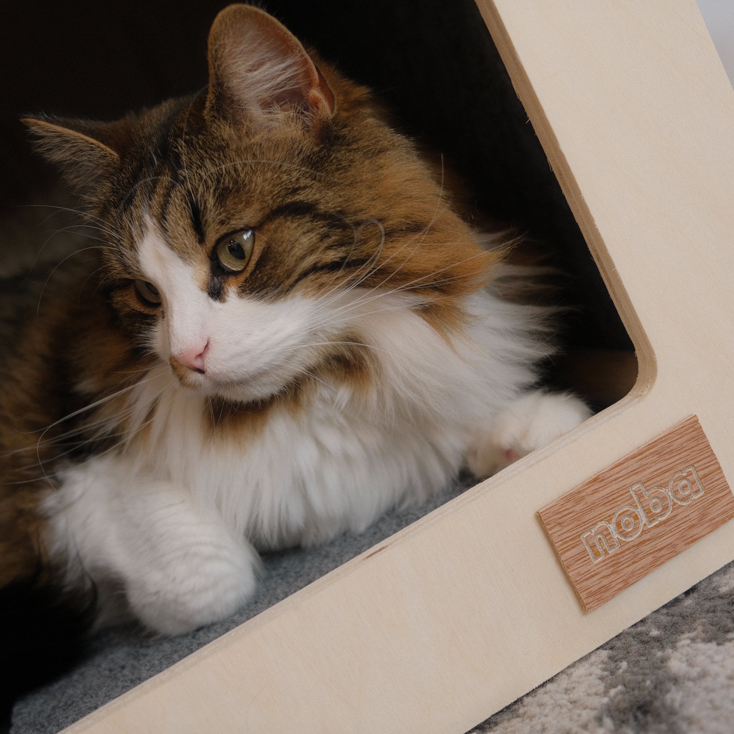 Urban Hut Pet House – Modern Comfort for Stylish Pets