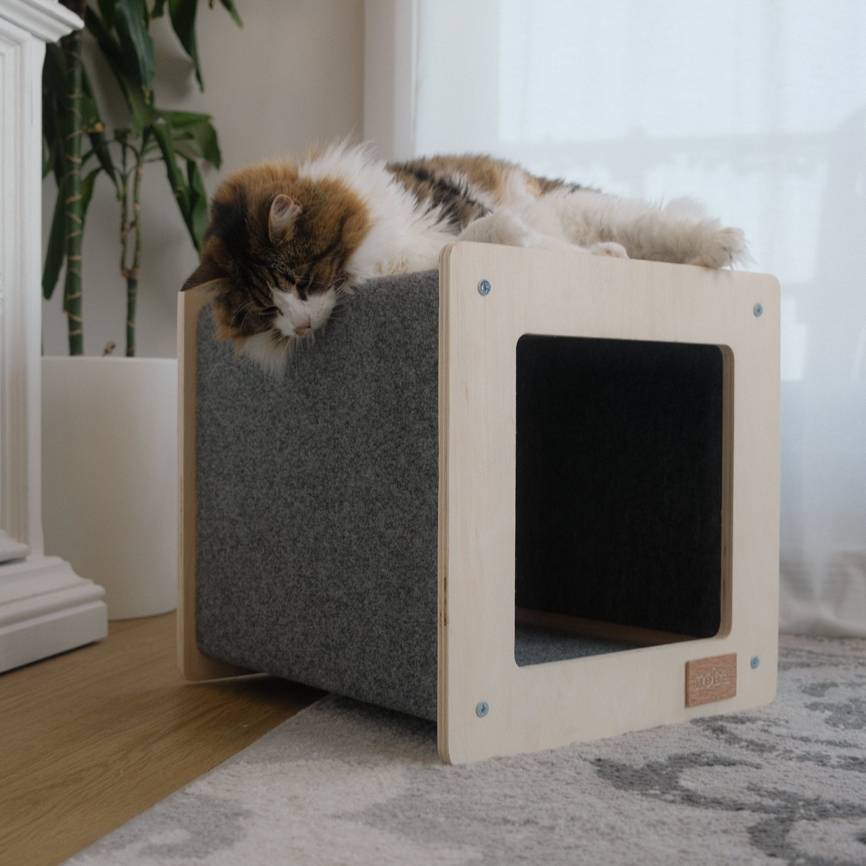 Urban Hut Pet House – Modern Comfort for Stylish Pets