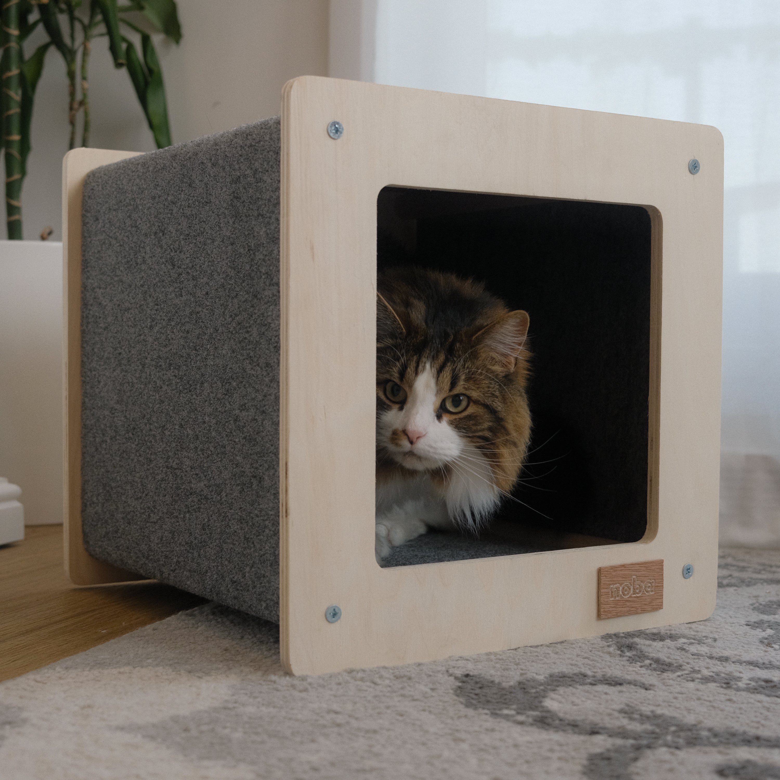 Urban Hut Pet House – Modern Comfort for Stylish Pets