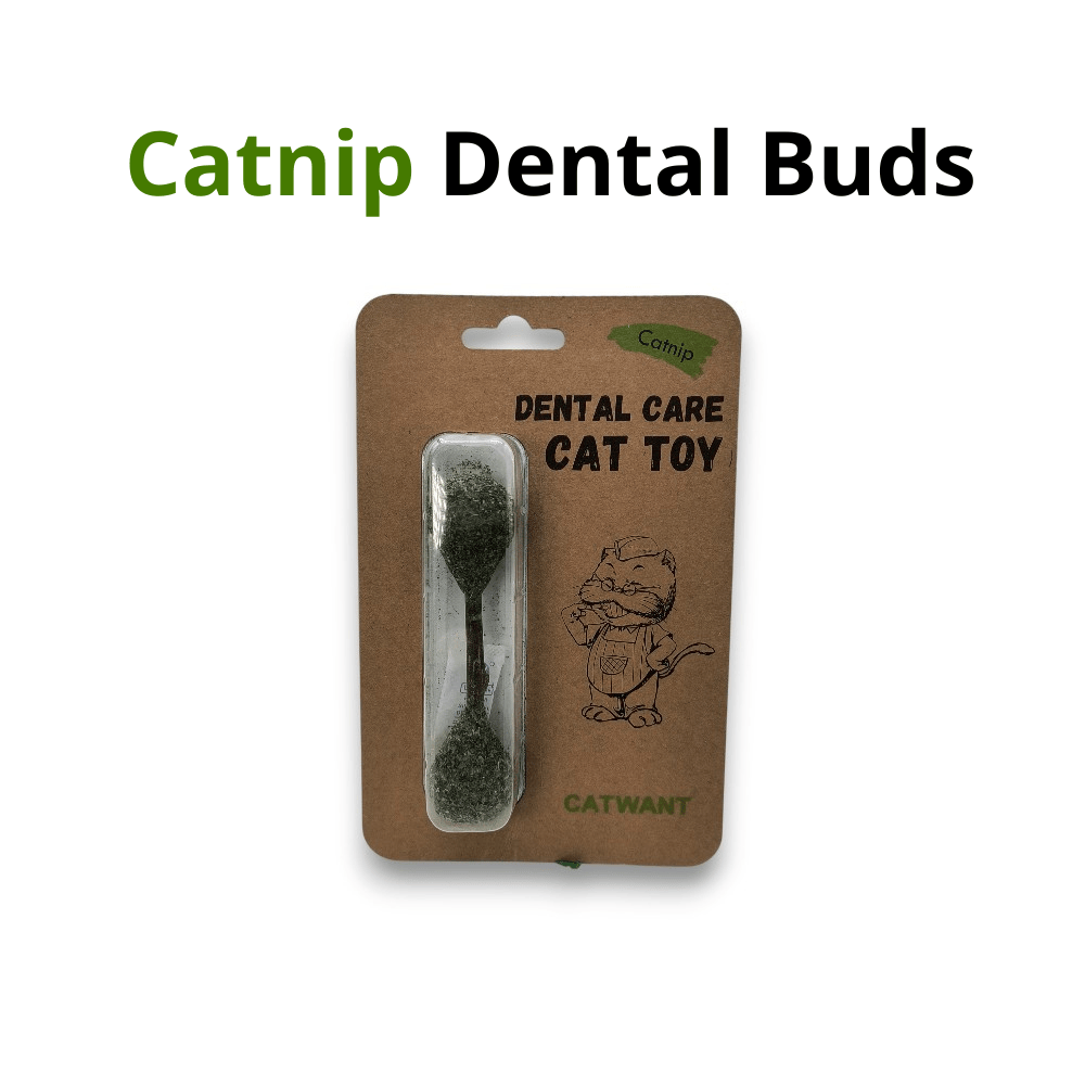 Cat toy, dental buds made of catnip, product in packaging.