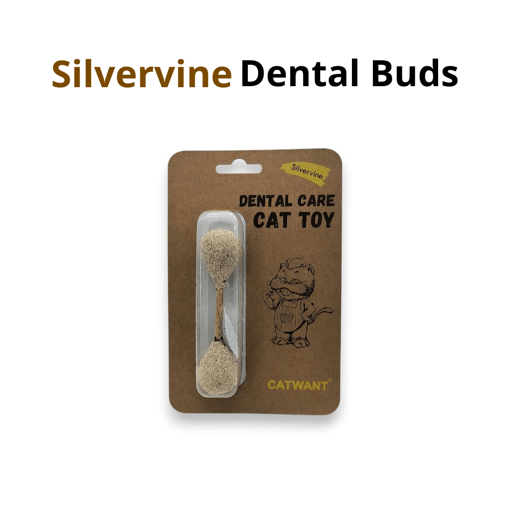 Cat toy, dental buds made of silvervine, product in packaging.