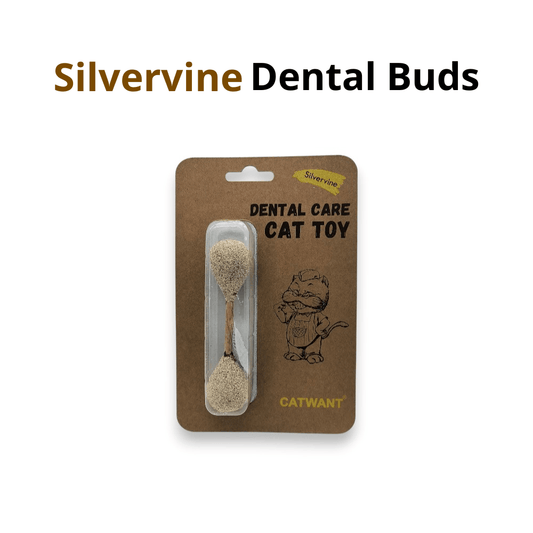 Cat toy, dental buds made of silvervine, product in packaging.