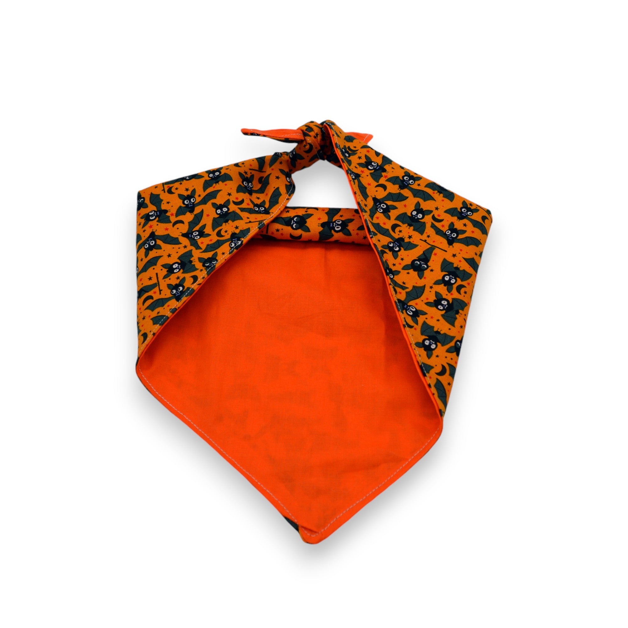 The Back of our Halloween Dog Bandana