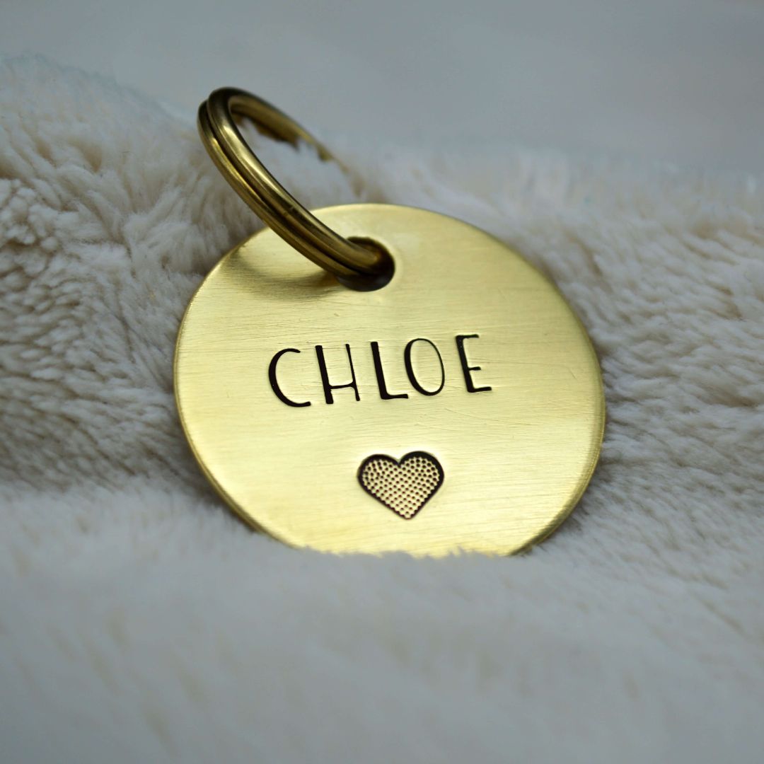 Tags for dogs