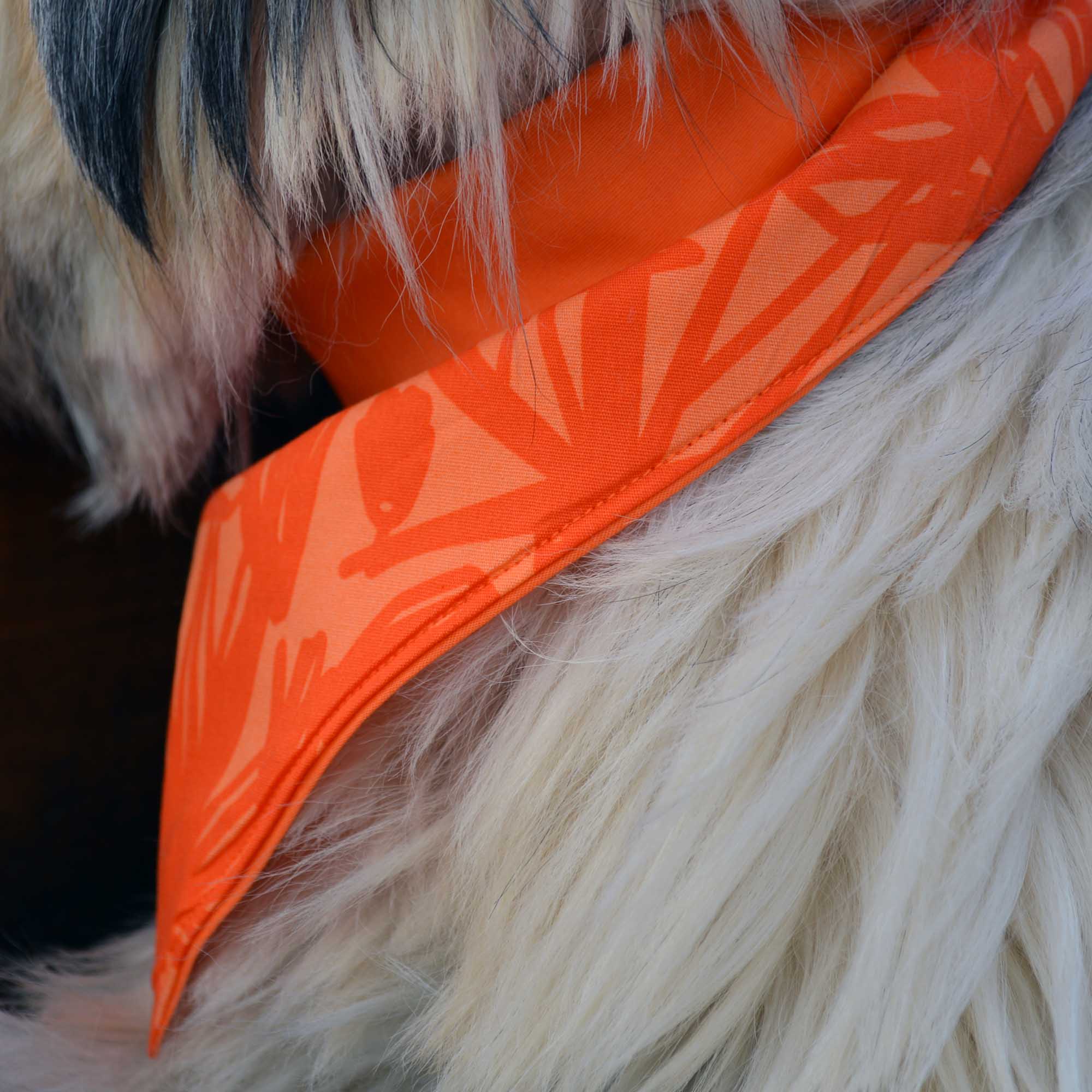 Dog Bandanas | Tag4MyPet | Ships to USA & Canada