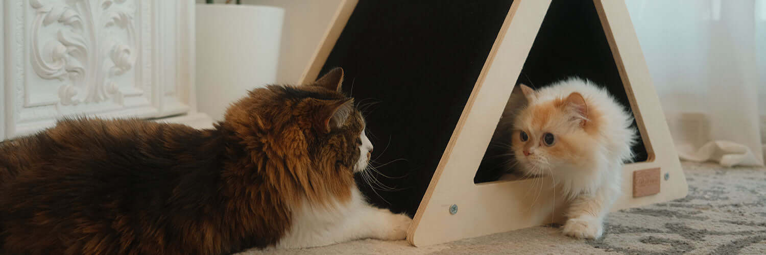 Noba Origin Scratchable Teepee Pet House – Modern Comfort & Play