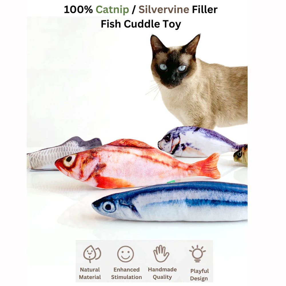 100% Catnip Filled - Red Dragon Fish 20CM with a cat playing with colorful fish cuddle toys.