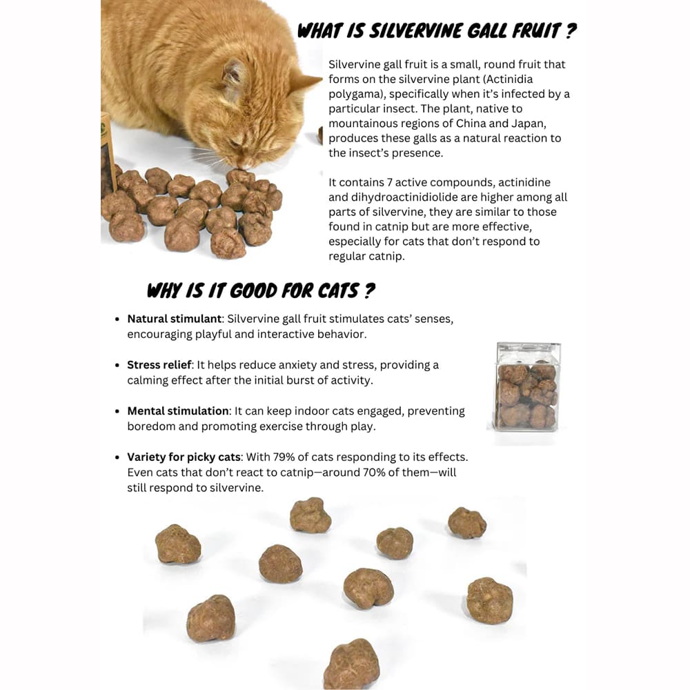 Features of the cat toy made of silvervine