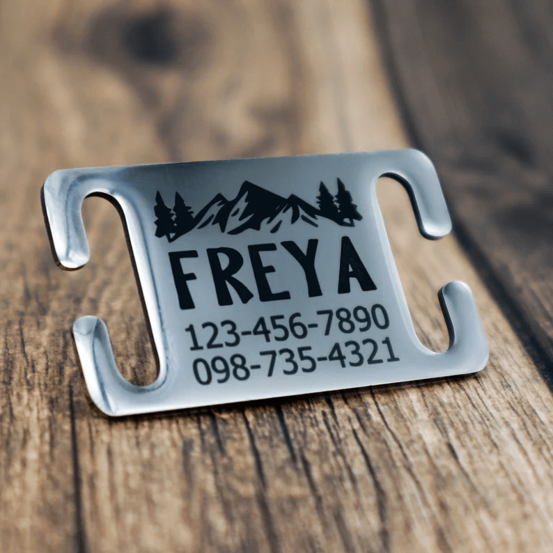 Freya Slide On Silver