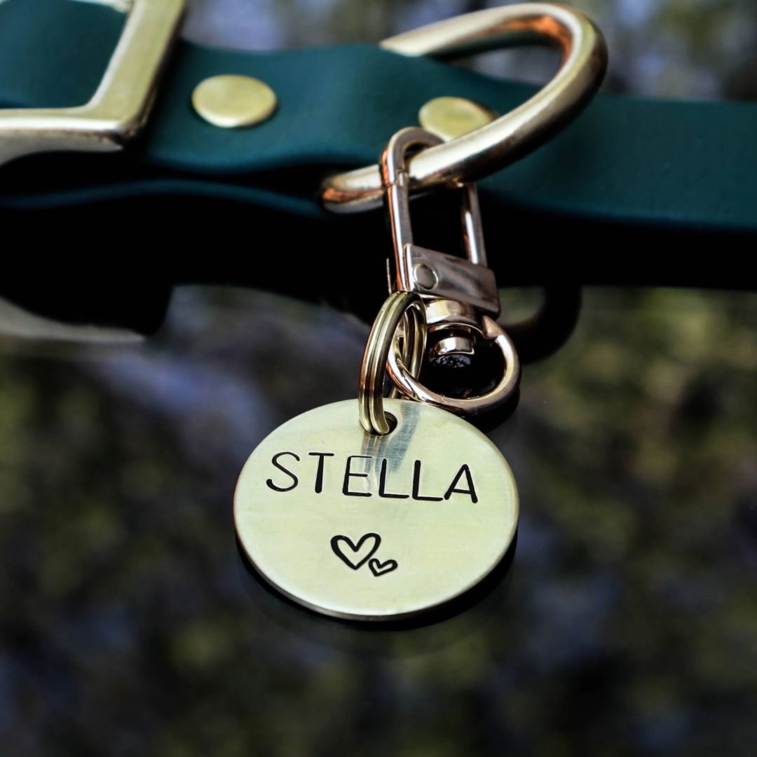 Gold dog tags