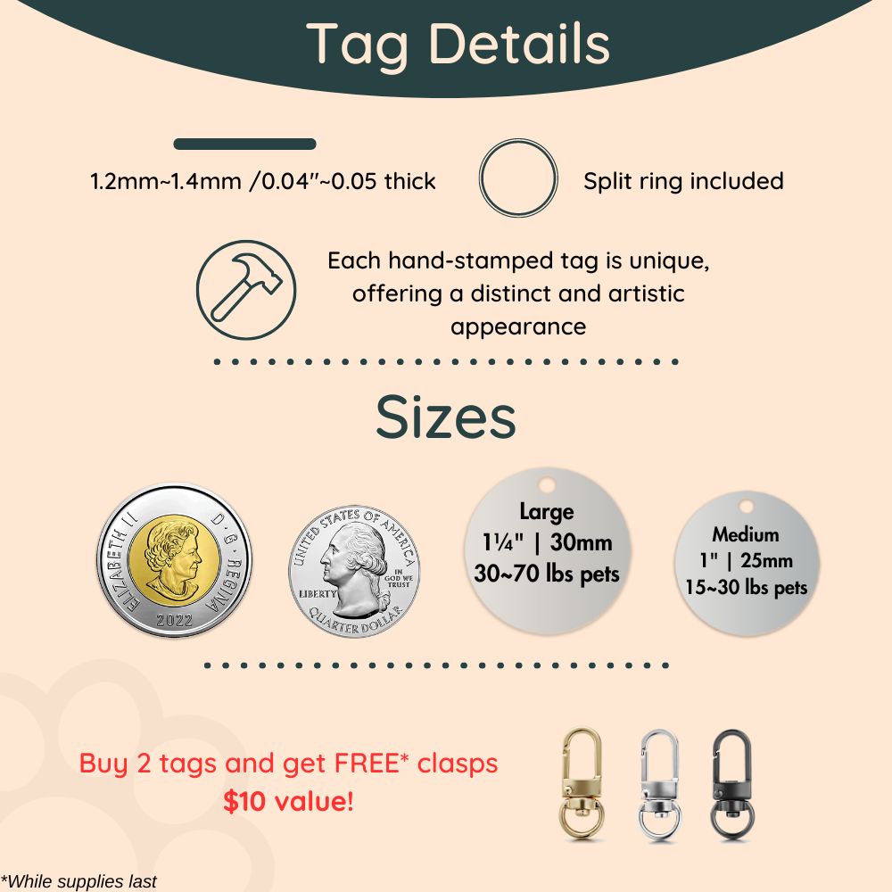 Dog tags size guides