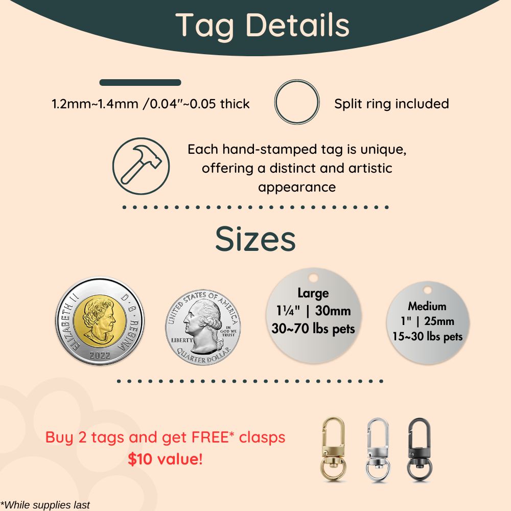 Dog tags size guide