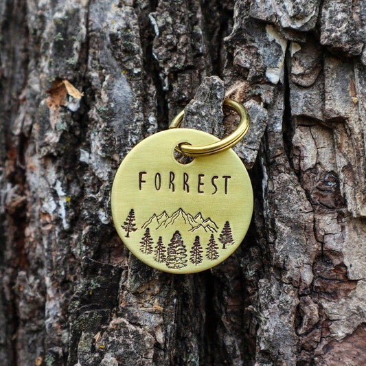 Custom dog ID tag | Tag4MyPet