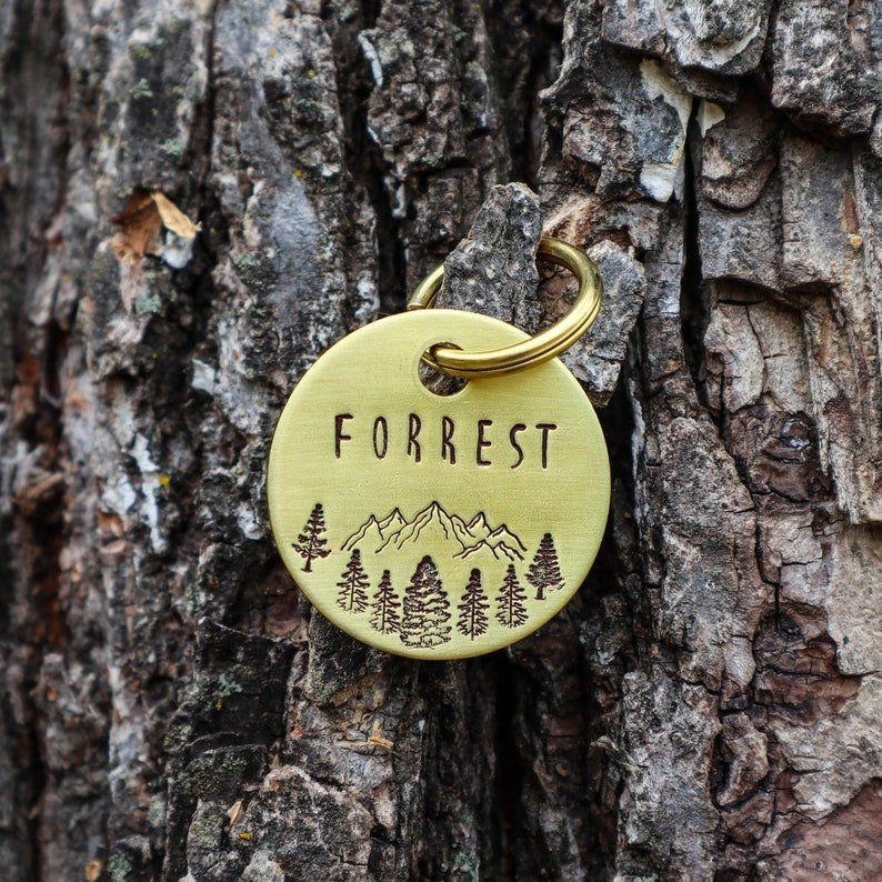 Custom dog ID tag | Tag4MyPet