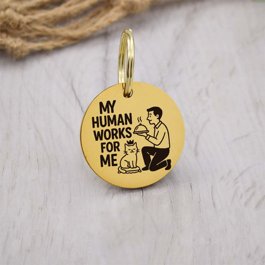 Funny gold pet ID tag with 'My Human Works For Me' engraved — personalized dog or cat tag for pet safety and identification.